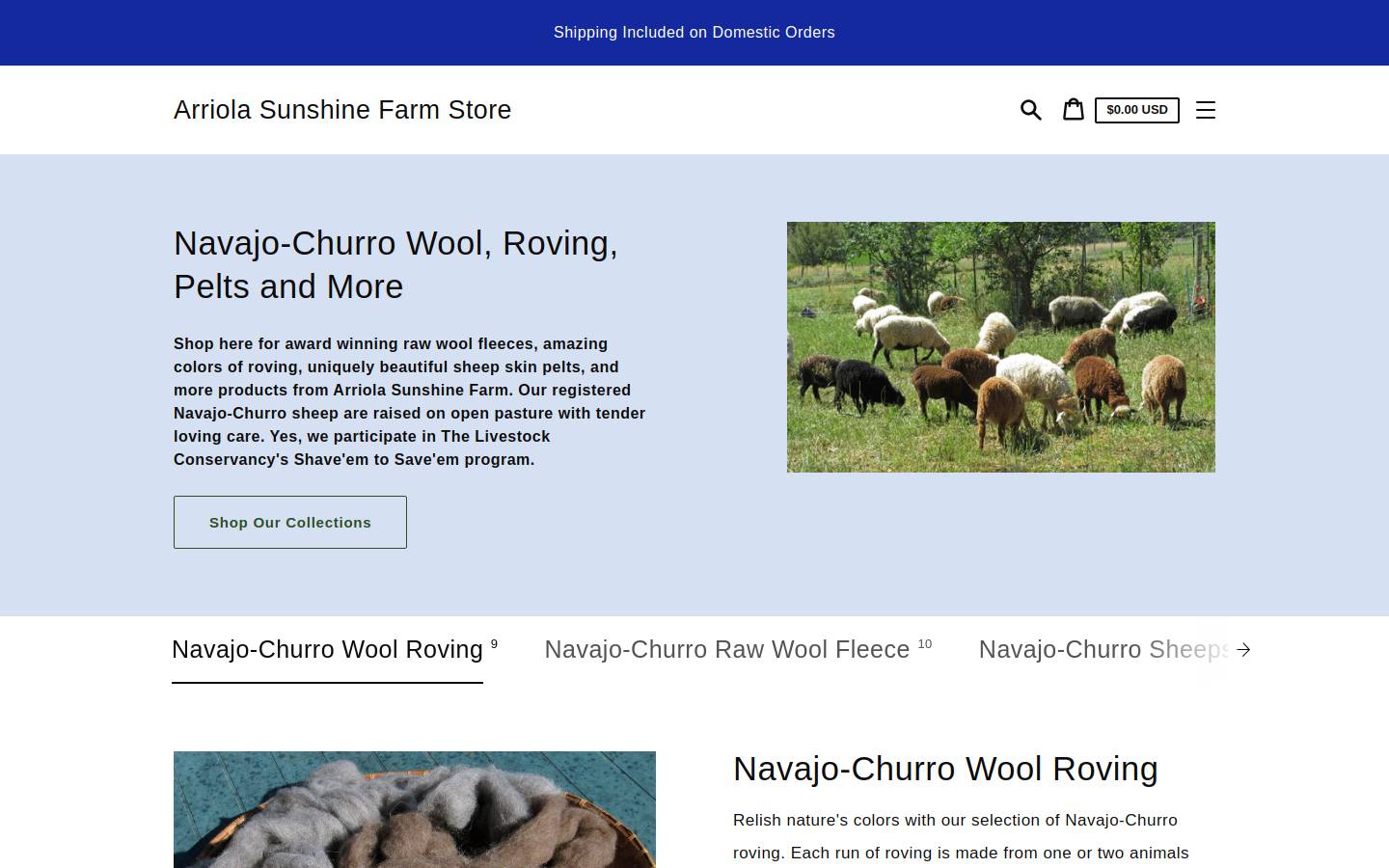 sunshinenavajochurro.com homepage screenshot