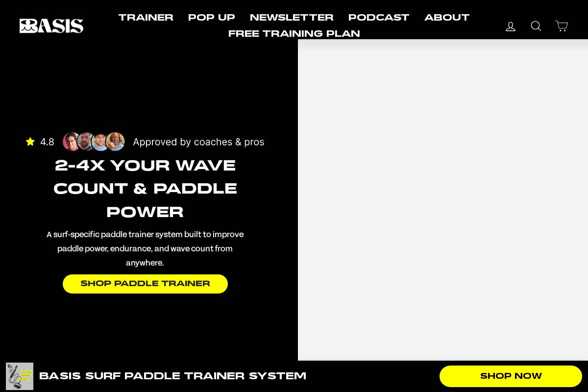 Surfbasis homepage screenshot