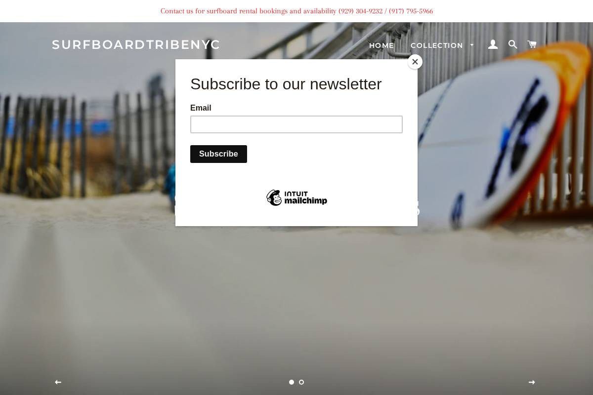 surfboardtribenyc.com homepage screenshot
