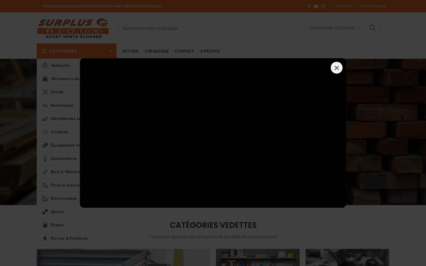 surplusgrioux.com homepage screenshot
