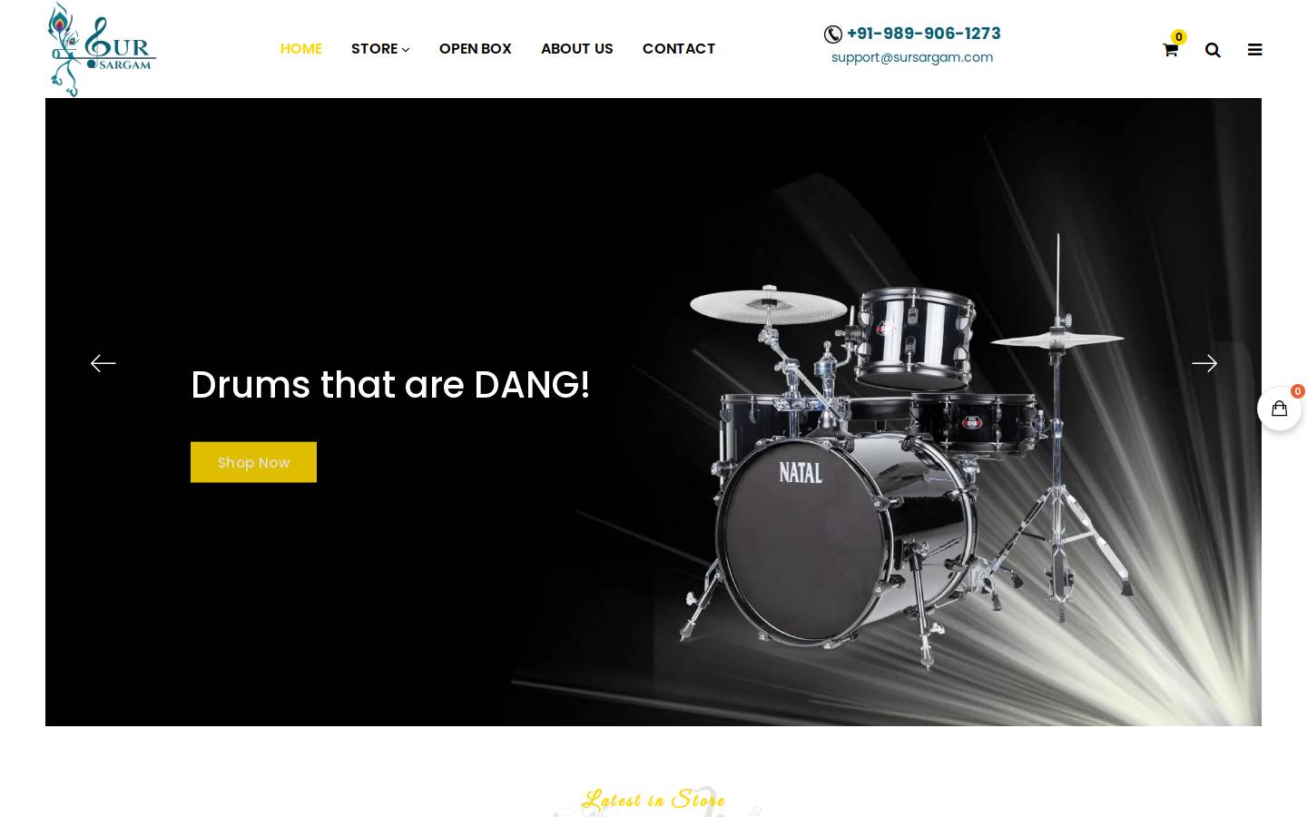 sursargam.com homepage screenshot
