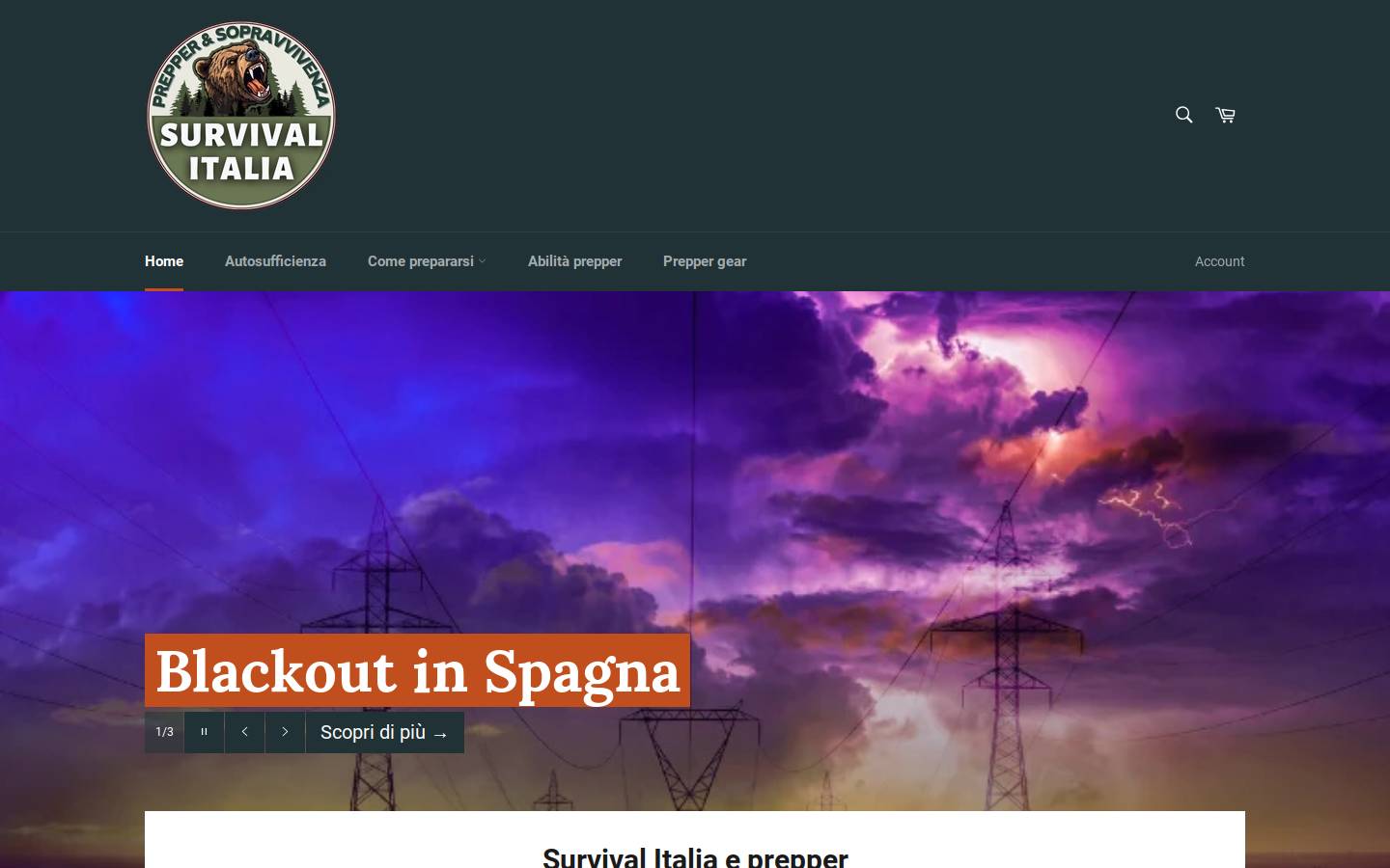 survival-italia.it homepage screenshot