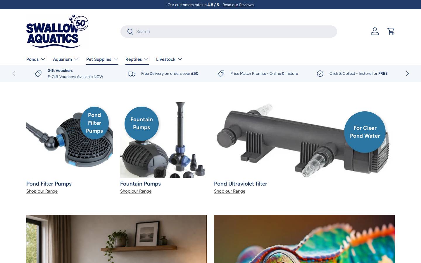 Swallowaquatics homepage screenshot