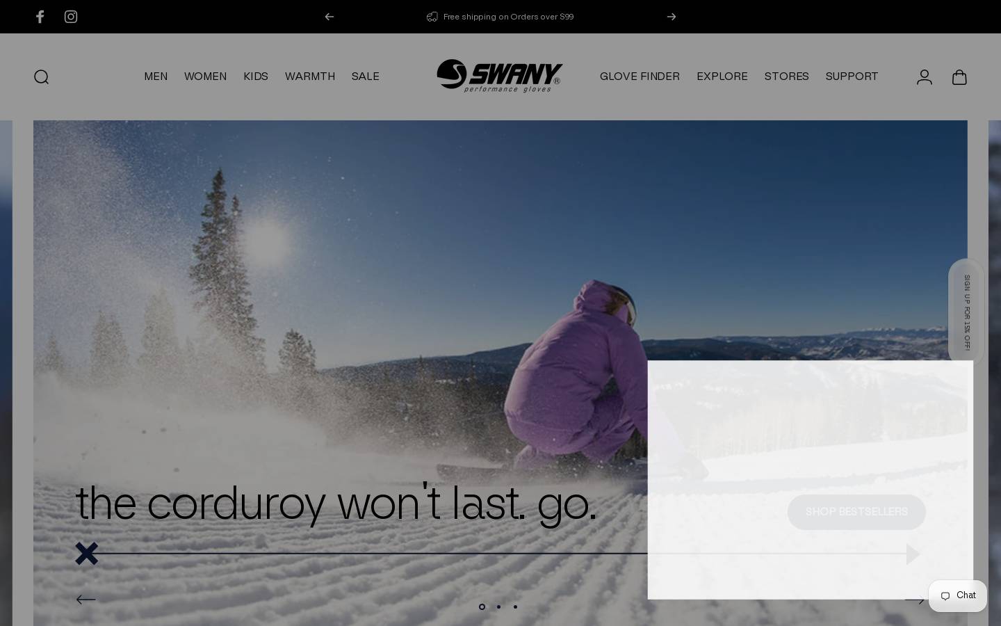 Swany America homepage screenshot