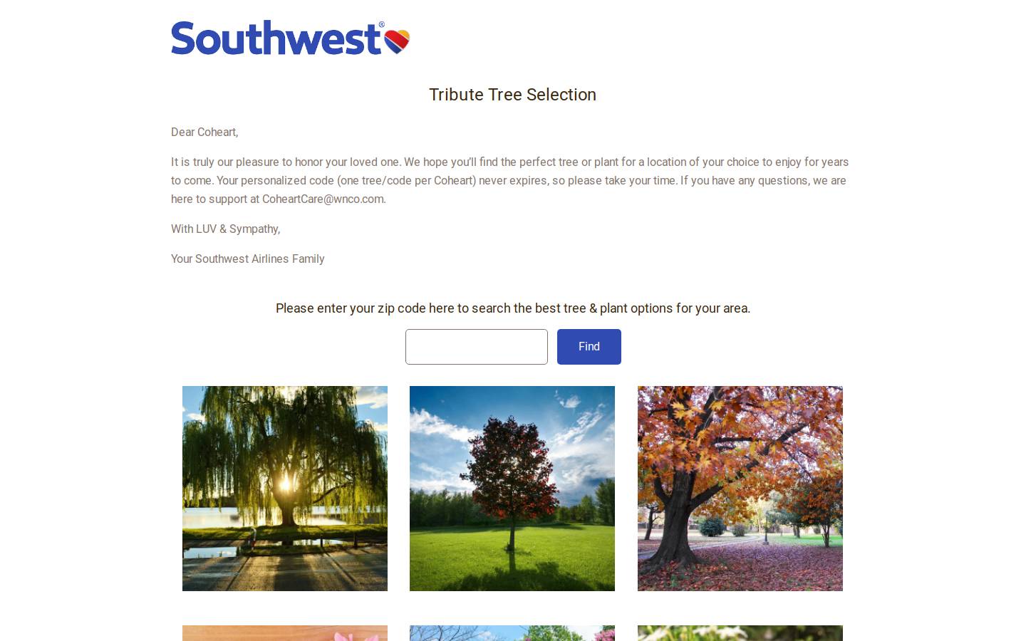 swatrees.com homepage screenshot