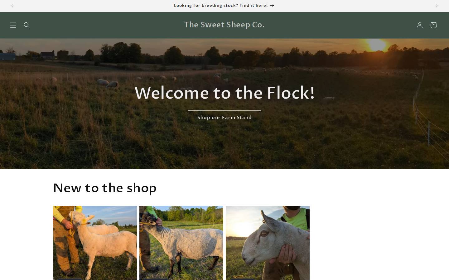 sweetsheep.ca homepage screenshot
