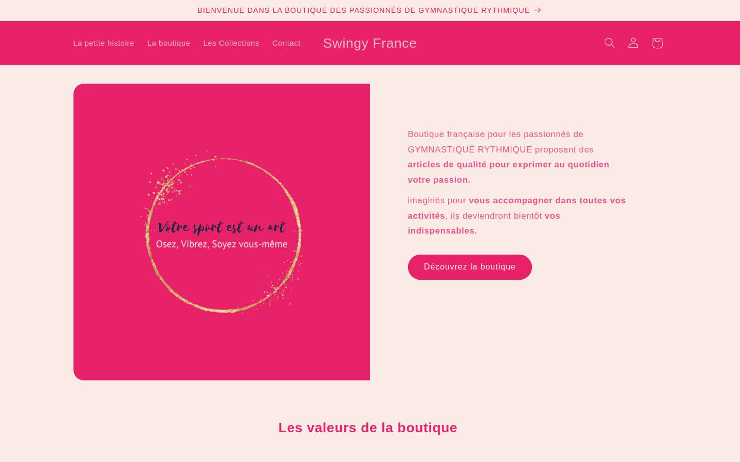 swingy-france.com homepage screenshot