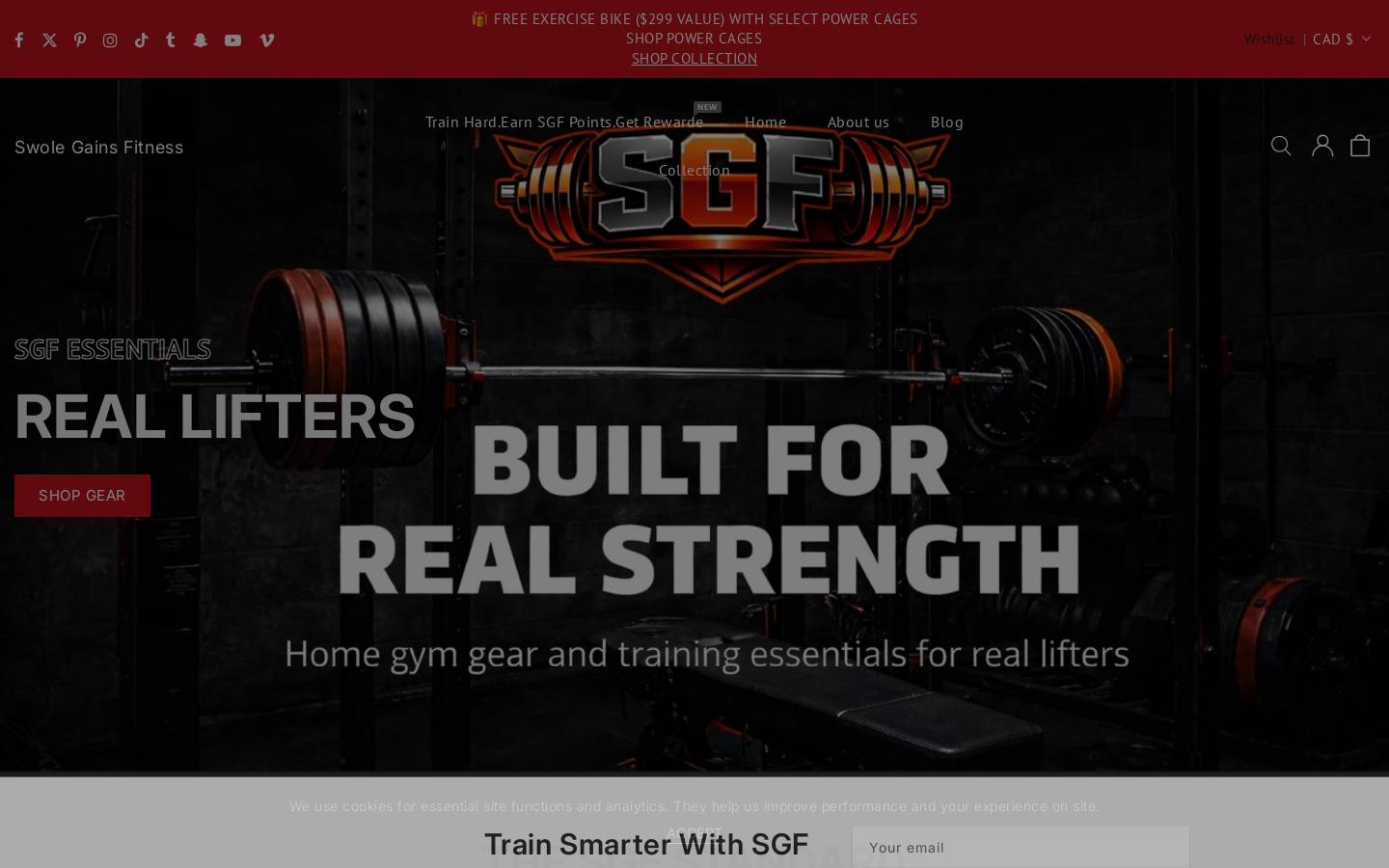 swolegainsfitness.com homepage screenshot