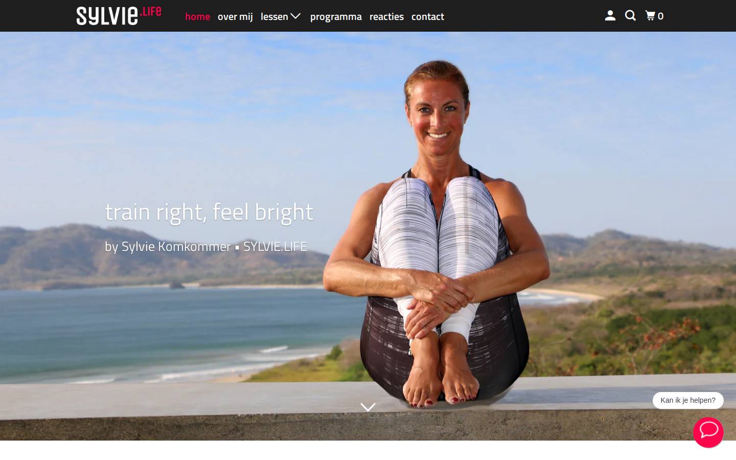 sylvie.life homepage screenshot
