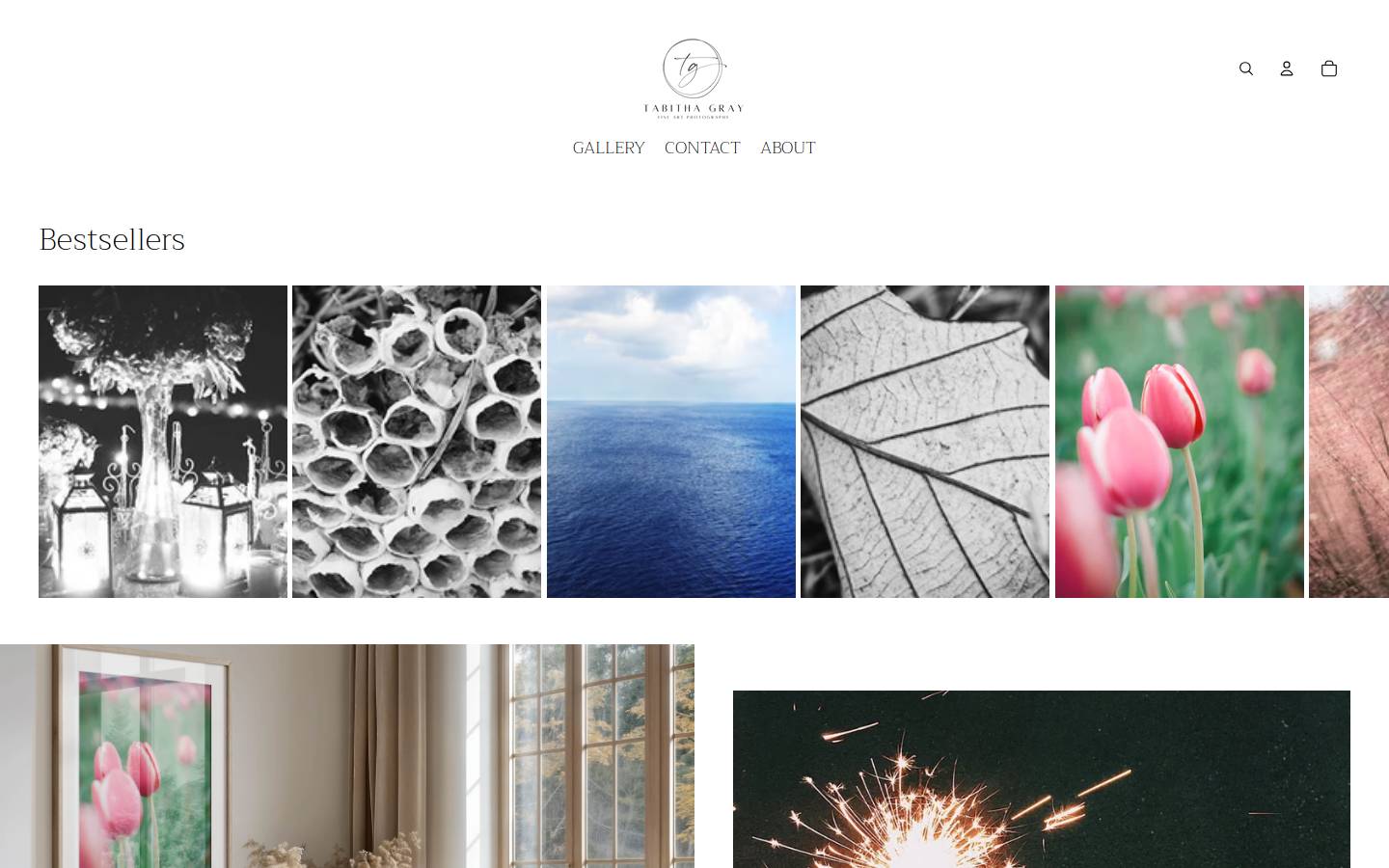 tabitha-gray.com homepage screenshot