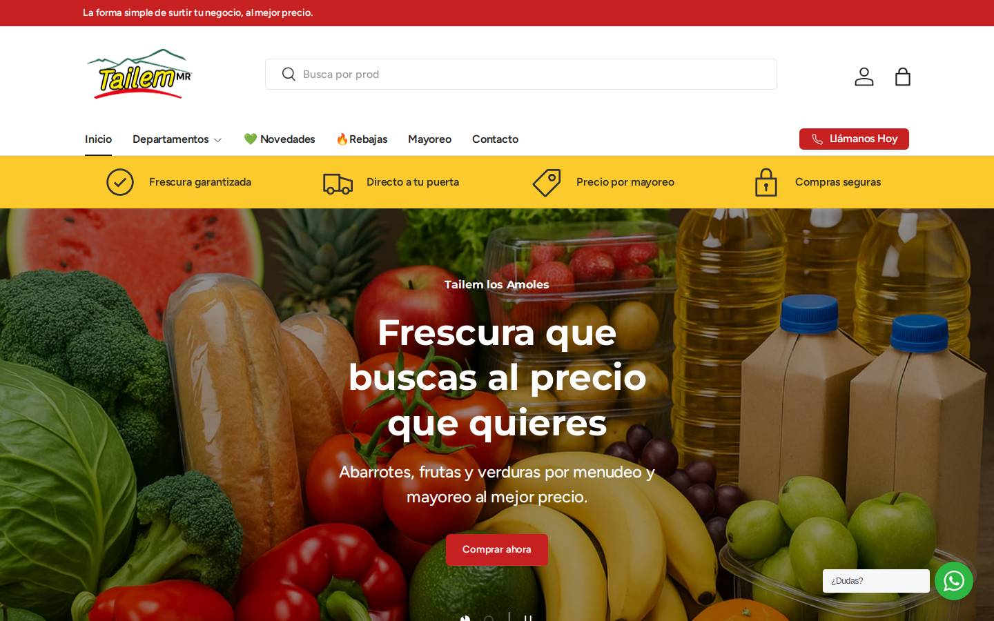 tailem.com.mx homepage screenshot
