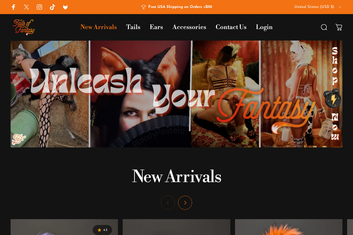 Tails Of Fantasy homepage screenshot