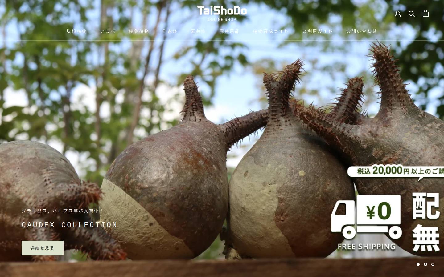 taishodou-shop.jp homepage screenshot