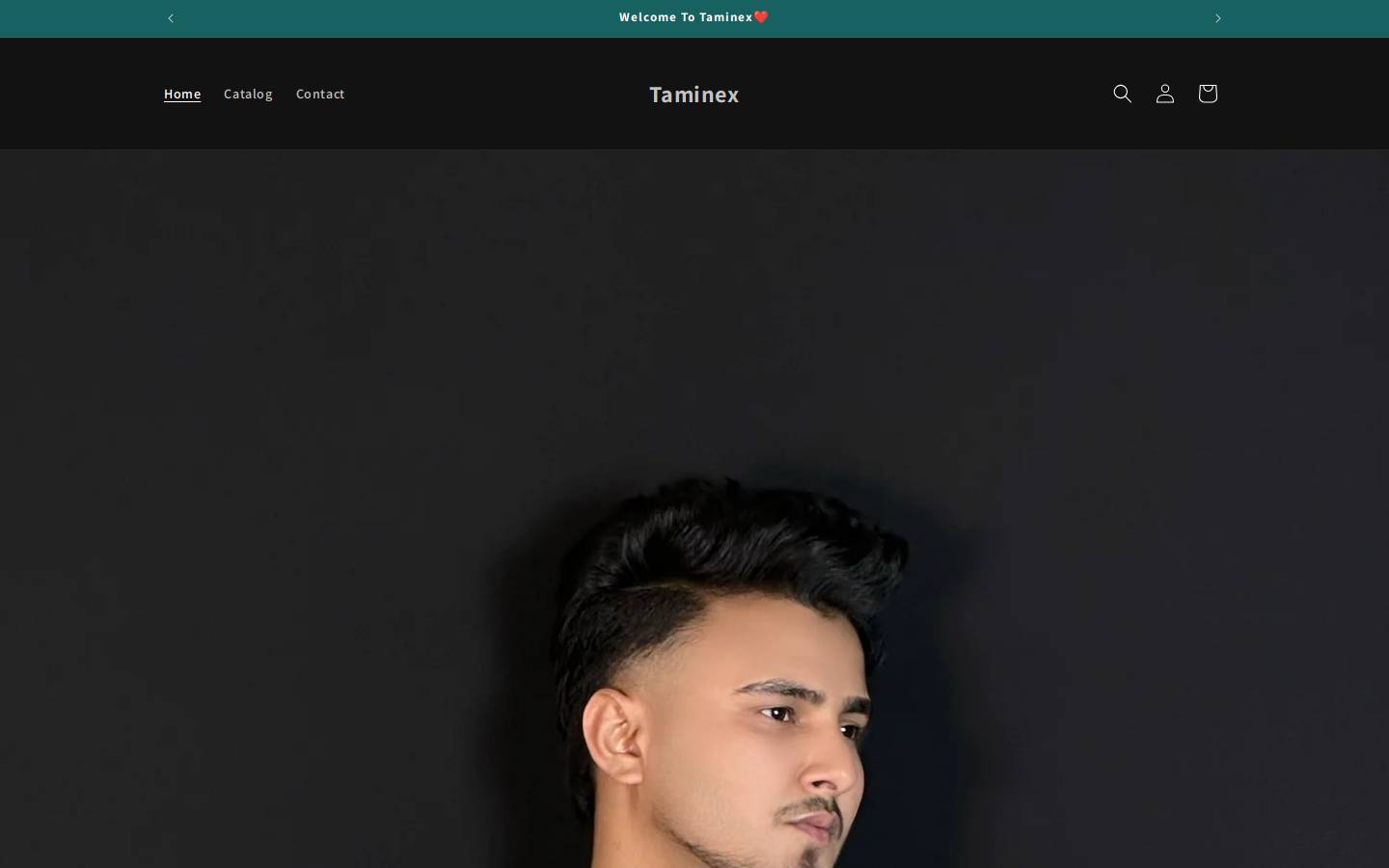 taminex.com homepage screenshot