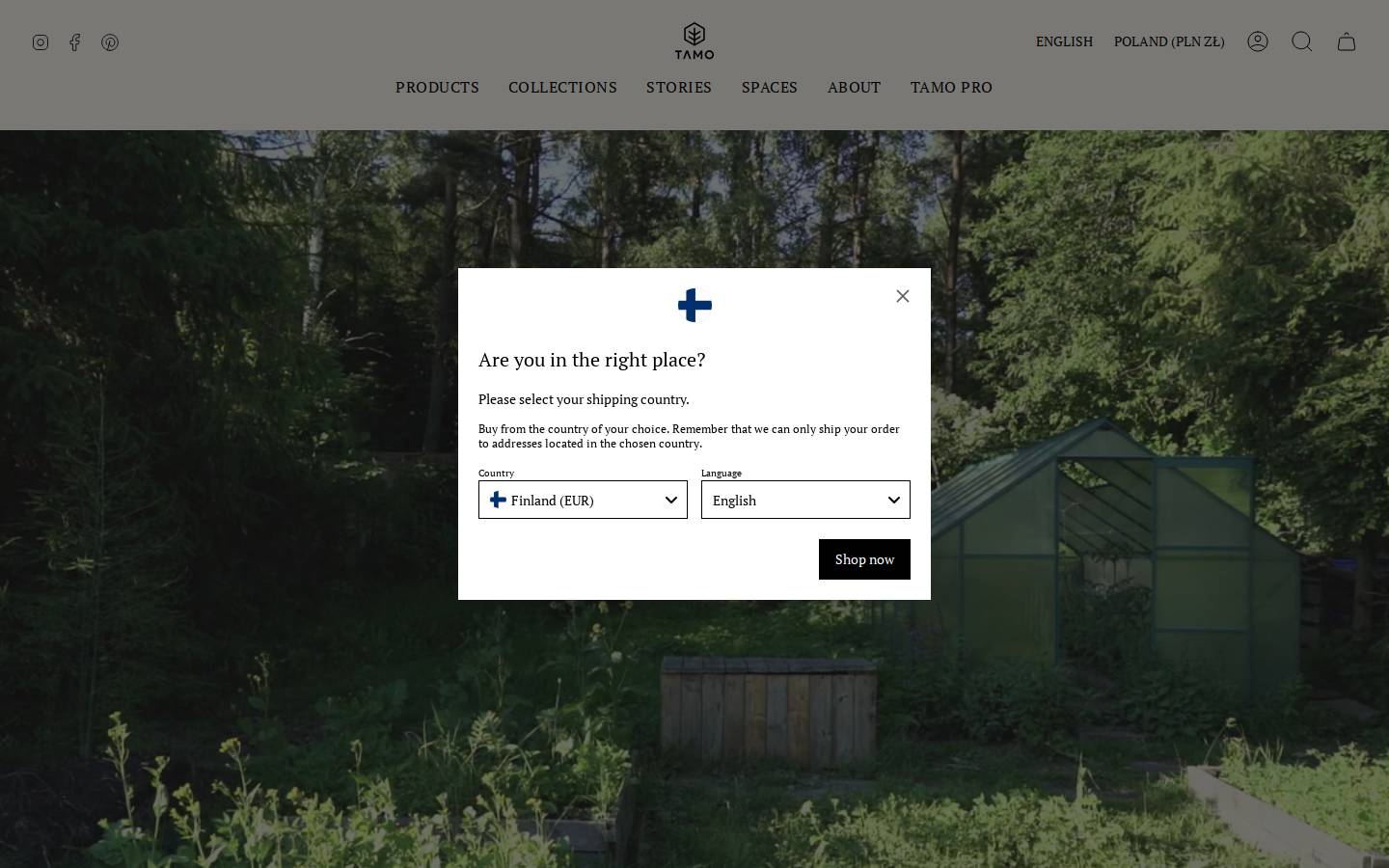 TAMO homepage screenshot