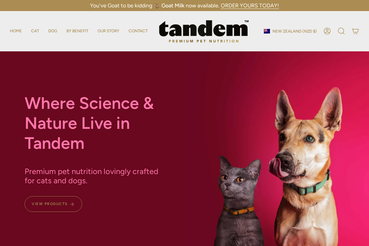 Tandem homepage screenshot