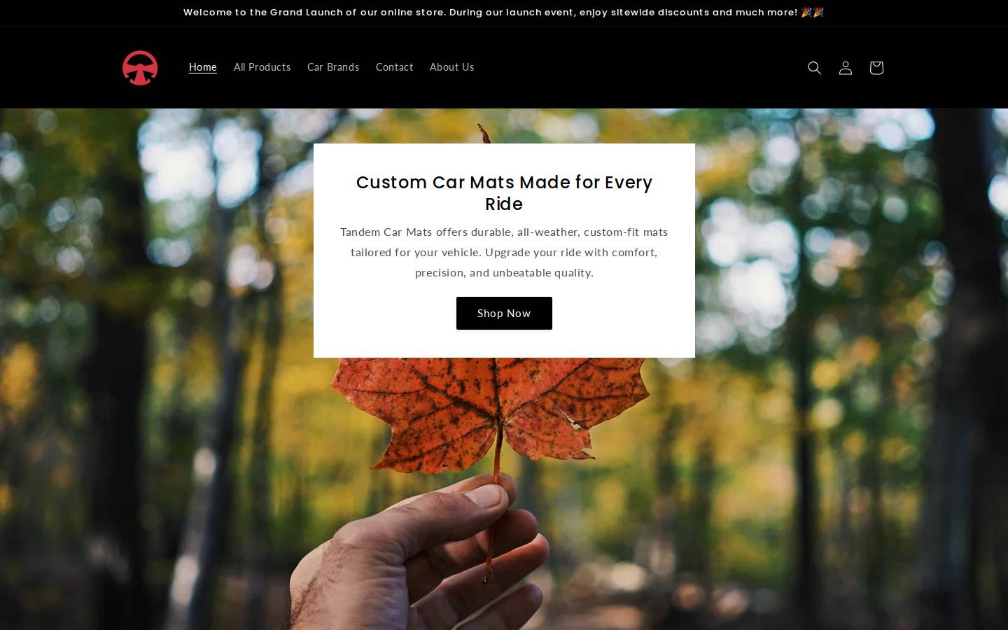 tandemcarmats.com homepage screenshot