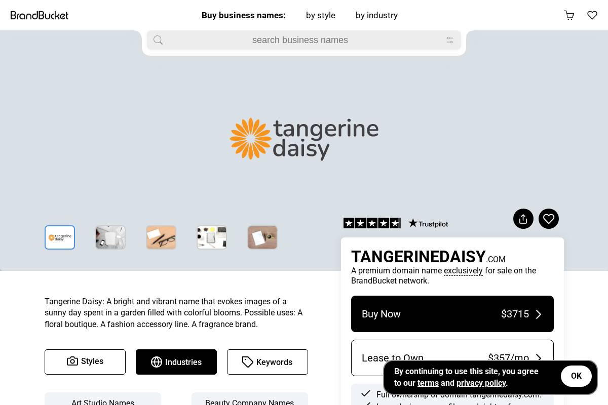 tangerinedaisy.com homepage screenshot