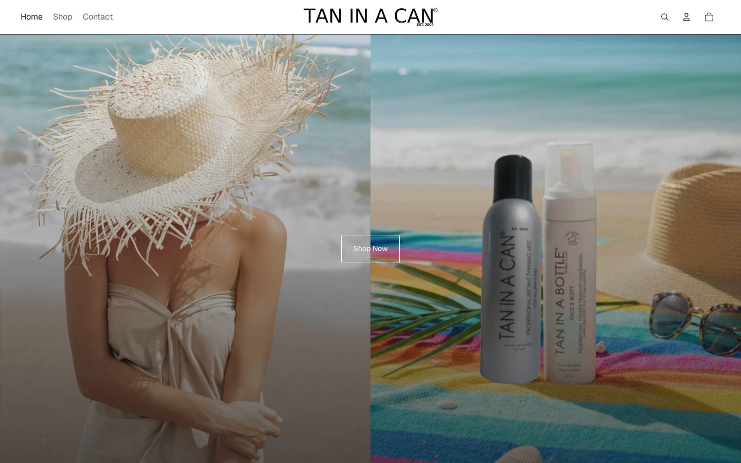 taninacan.com homepage screenshot
