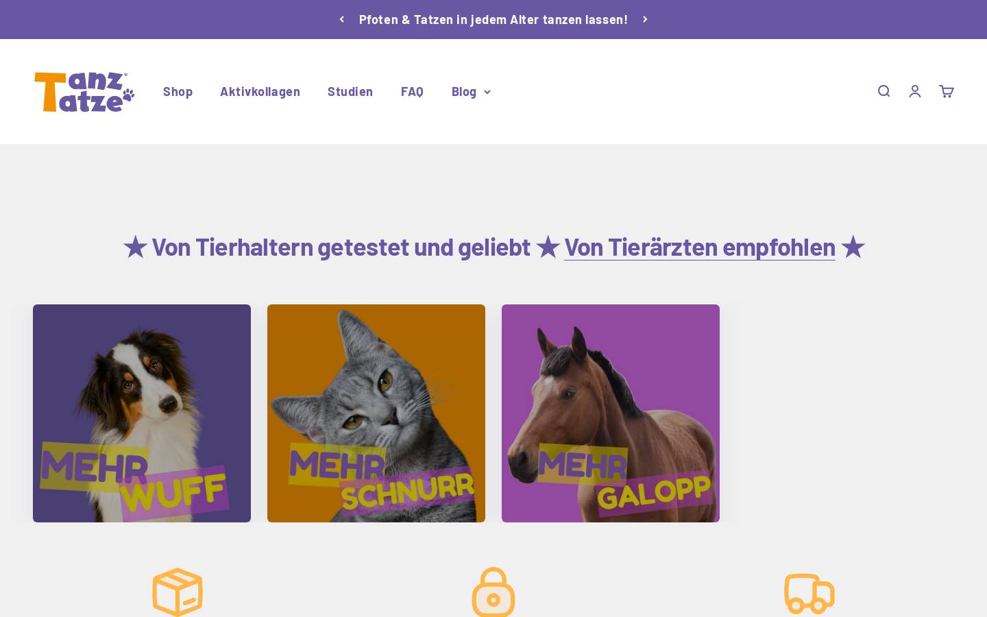 tanztatze.de homepage screenshot