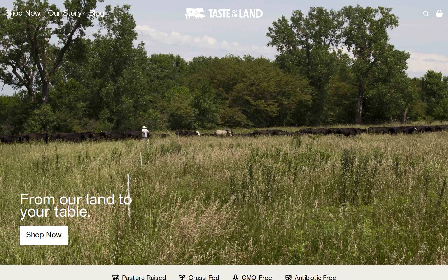 tasteofthe.land homepage screenshot
