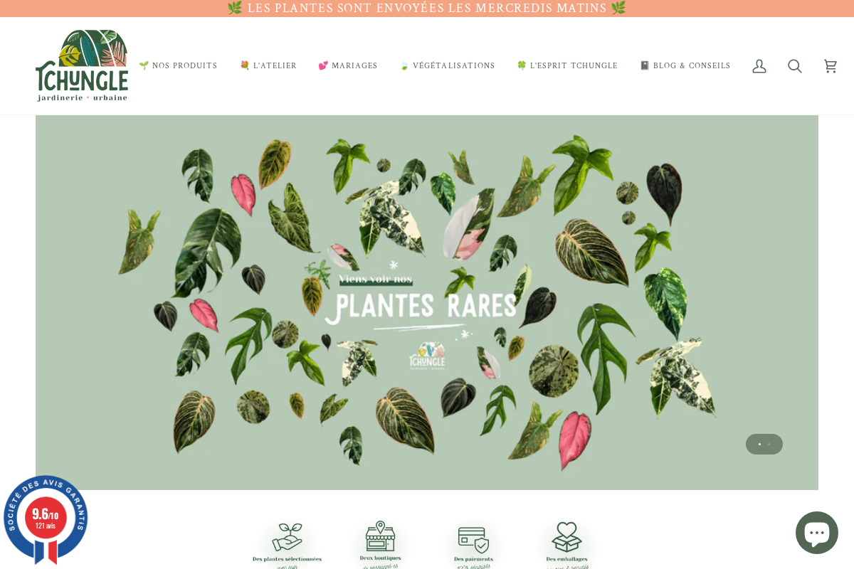 Tchungle homepage screenshot