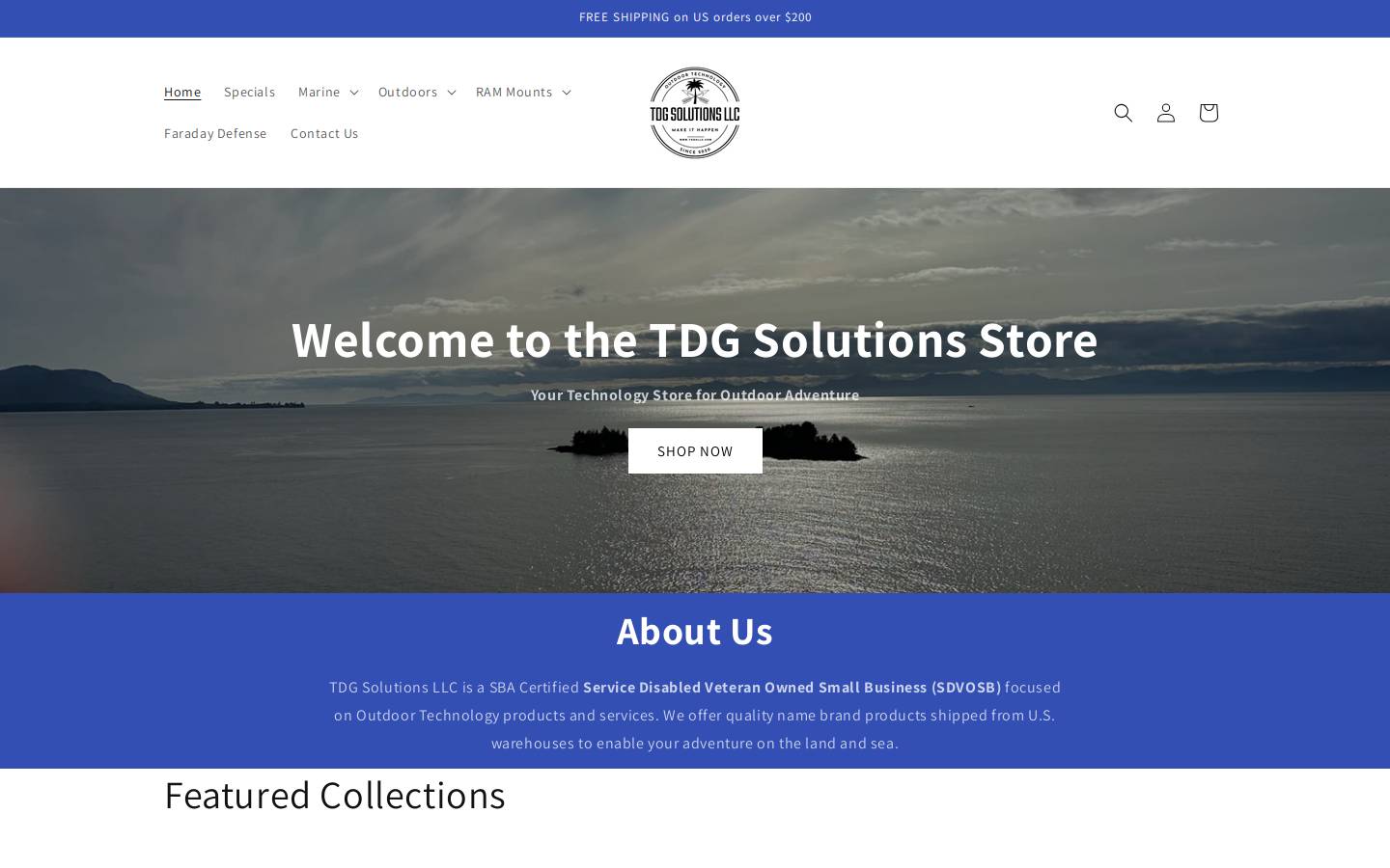 tdgsllc.com homepage screenshot