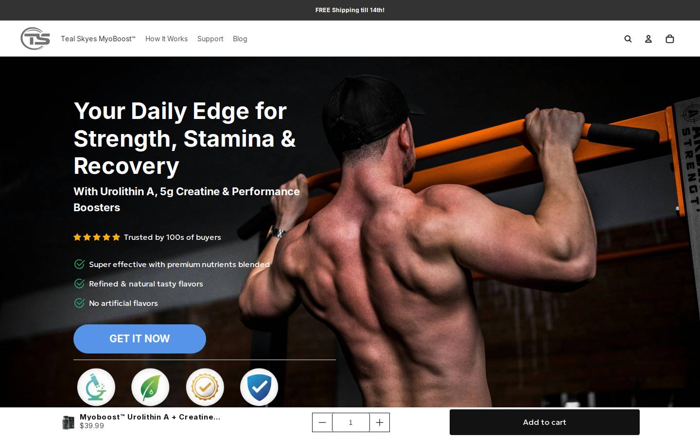tealskyes.com homepage screenshot