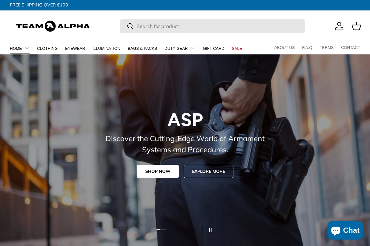 team-alpha.ie homepage screenshot