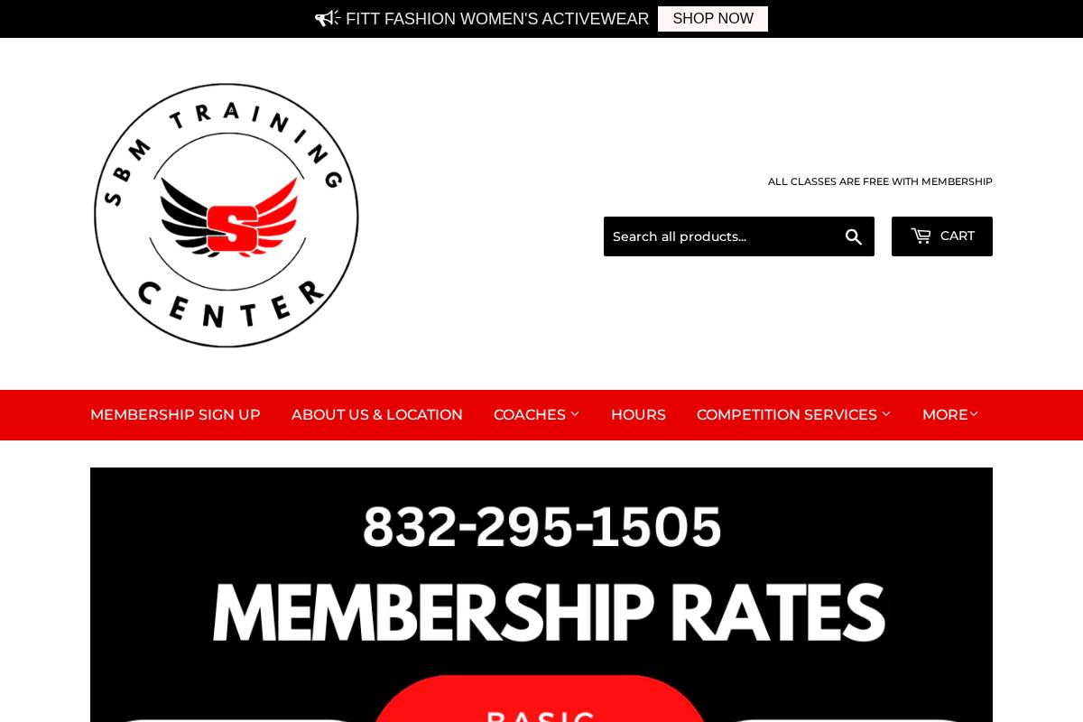 team-sbm.com homepage screenshot