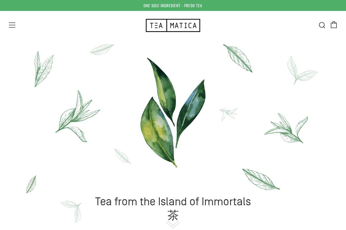 teamatica.ca homepage screenshot