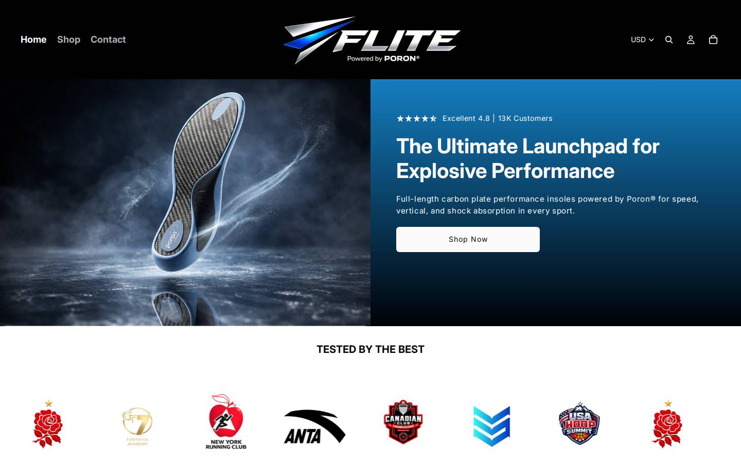 teamflite.com homepage screenshot