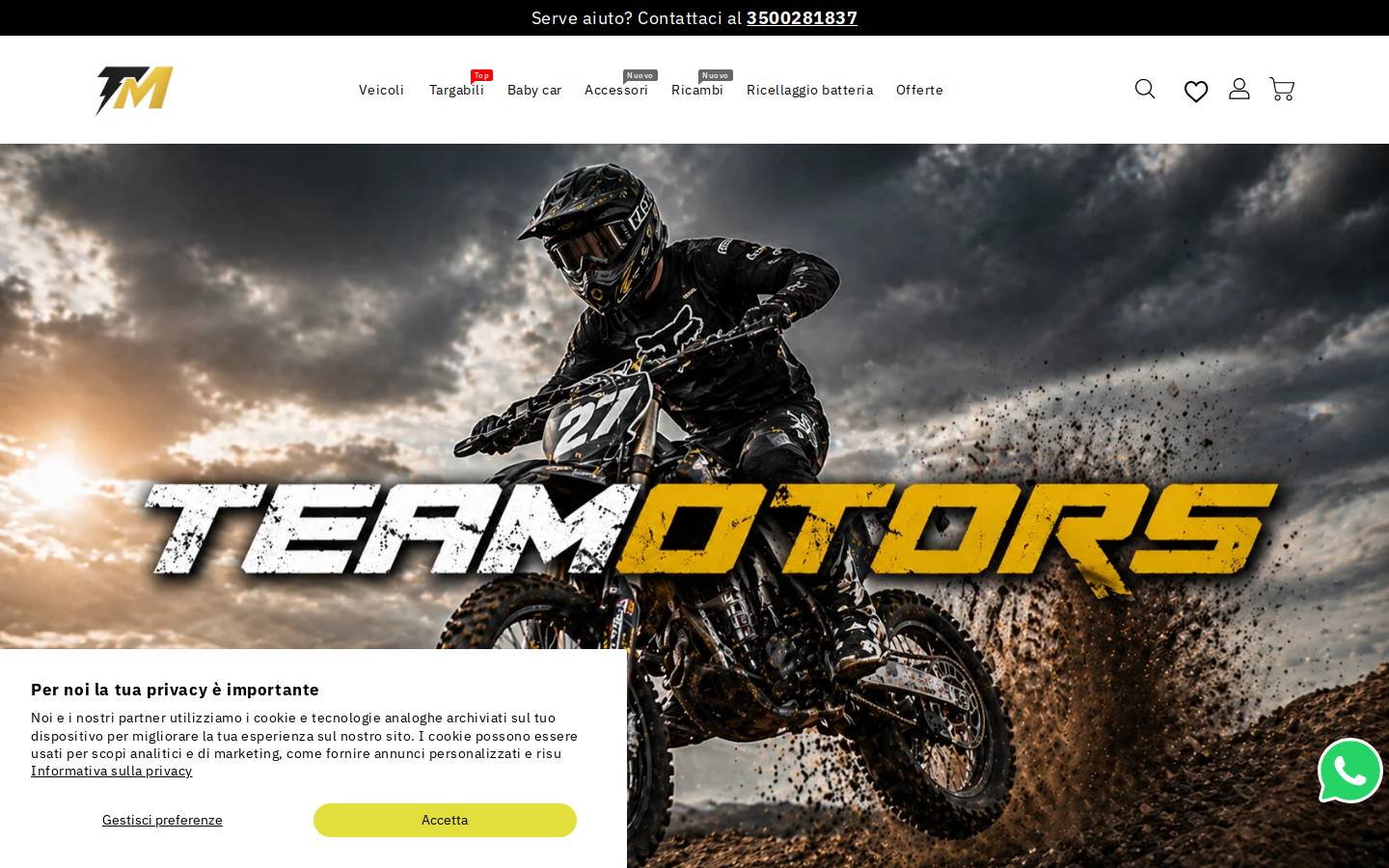 Teamotors homepage screenshot