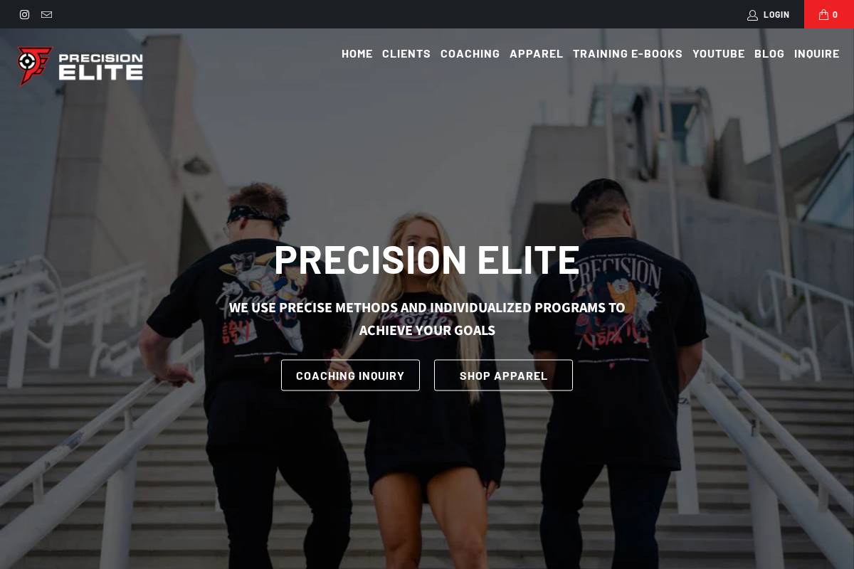 teamprecisionelite.com homepage screenshot