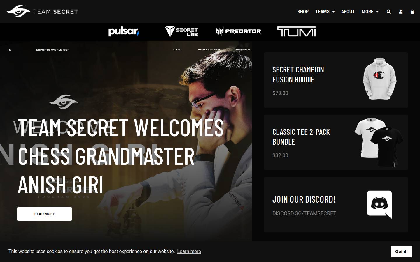 teamsecret.gg homepage screenshot