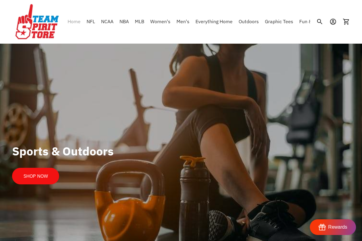 teamspiritstoreusa.com homepage screenshot