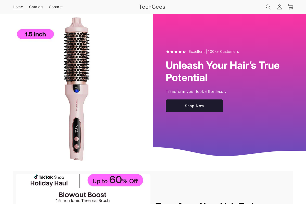 TechGees homepage screenshot