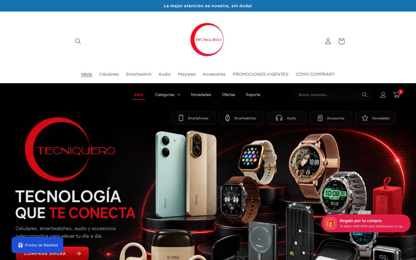 tecniquero.com.mx homepage screenshot