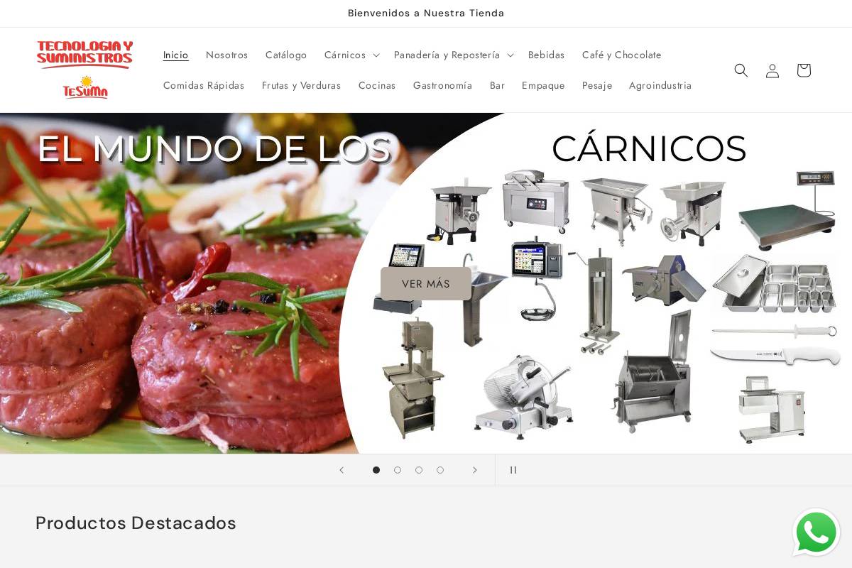 tecnologiaysuministros.co homepage screenshot