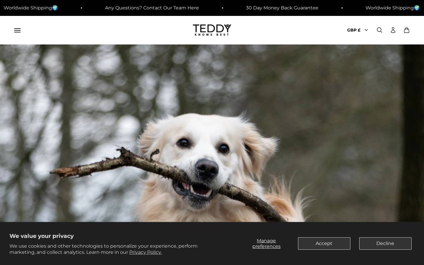 Teddy Knows Best homepage screenshot