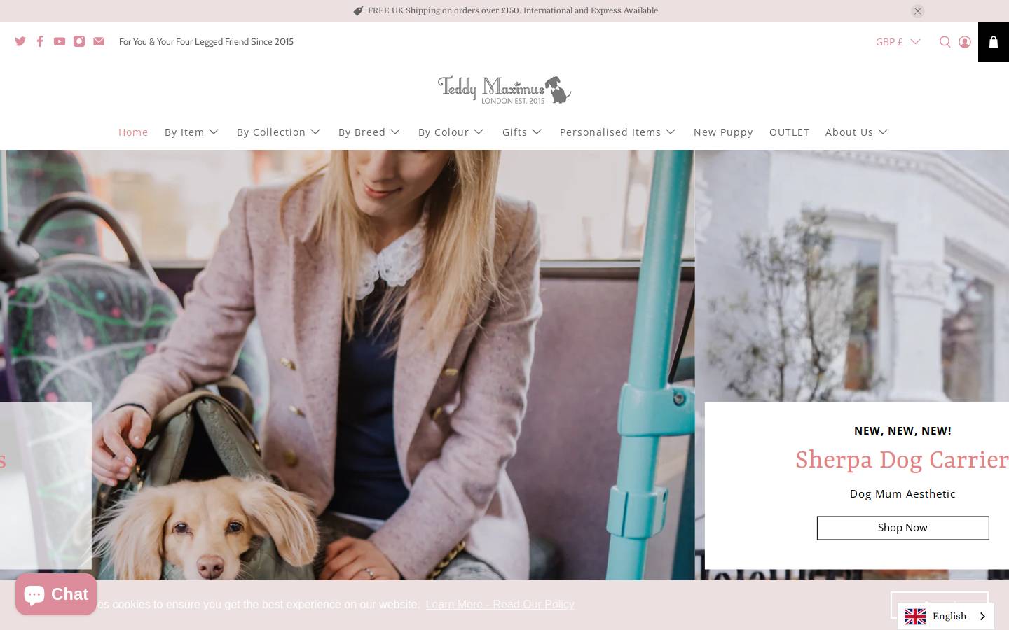 teddymaximus.com homepage screenshot