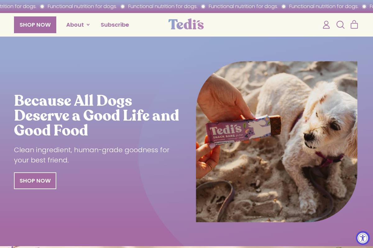 tedissnacks.com homepage screenshot