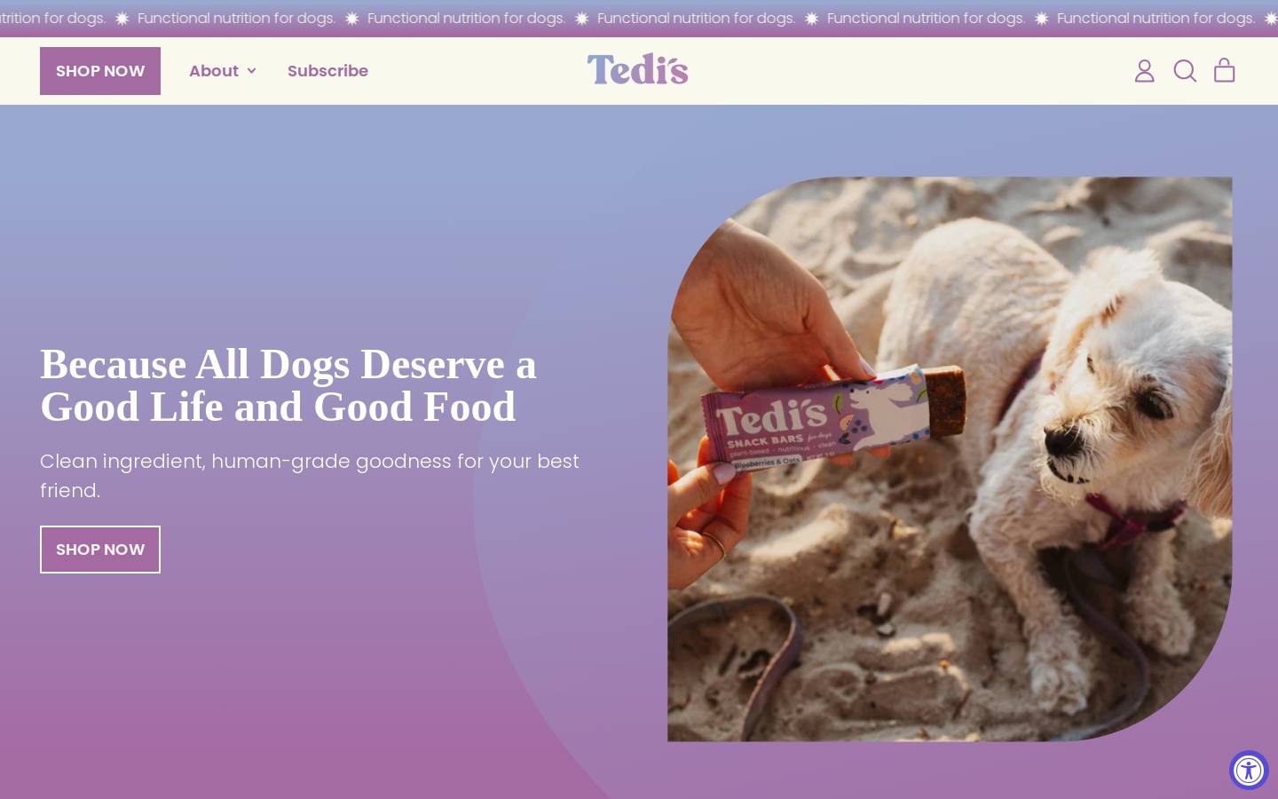 tedistreats.com homepage screenshot