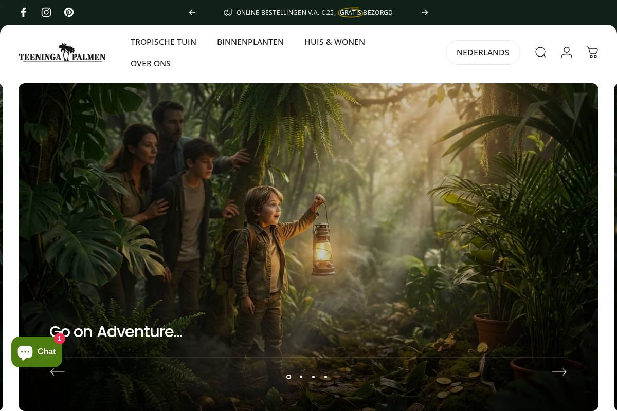 Teeningapalmen homepage screenshot