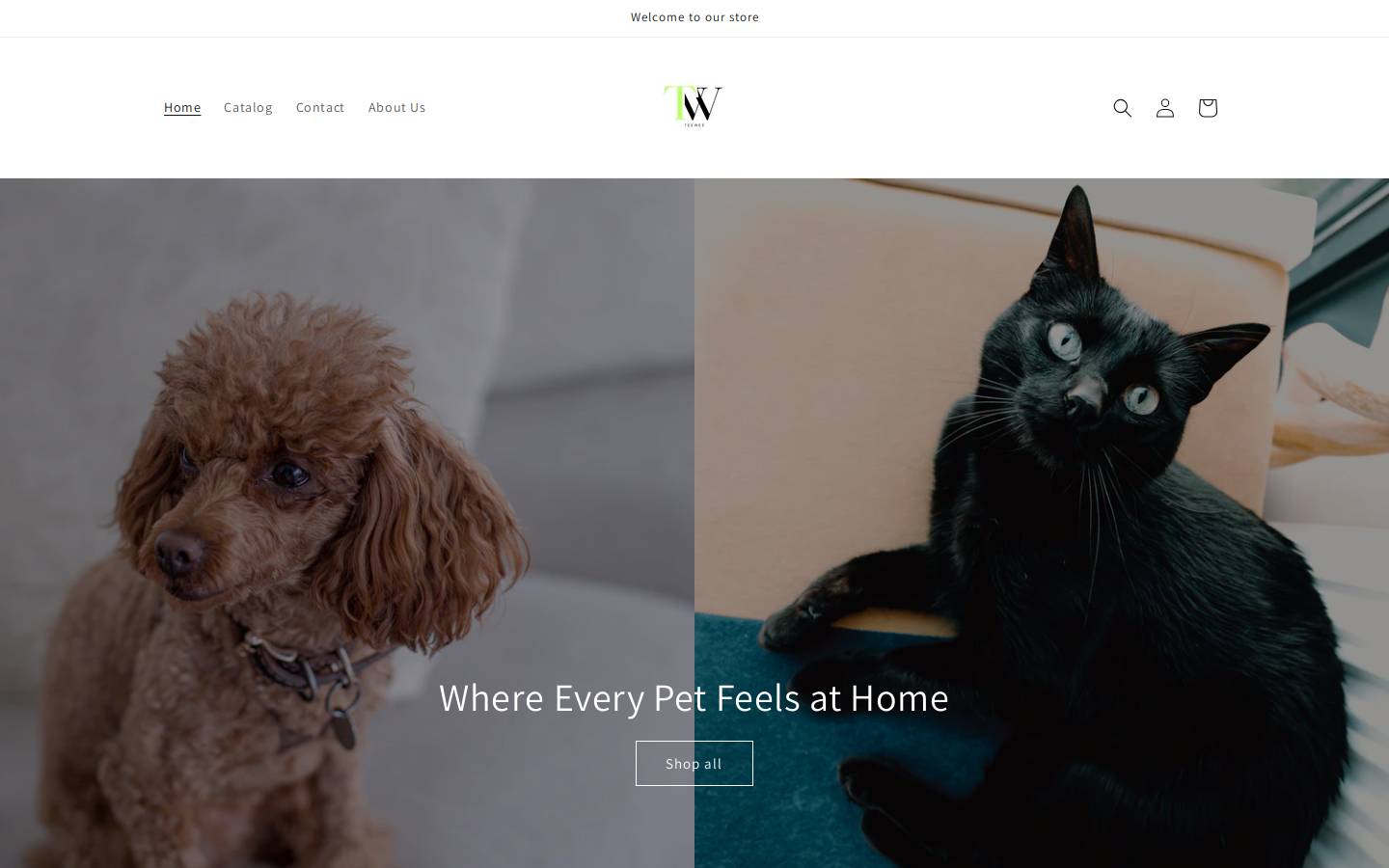 teewee.store homepage screenshot
