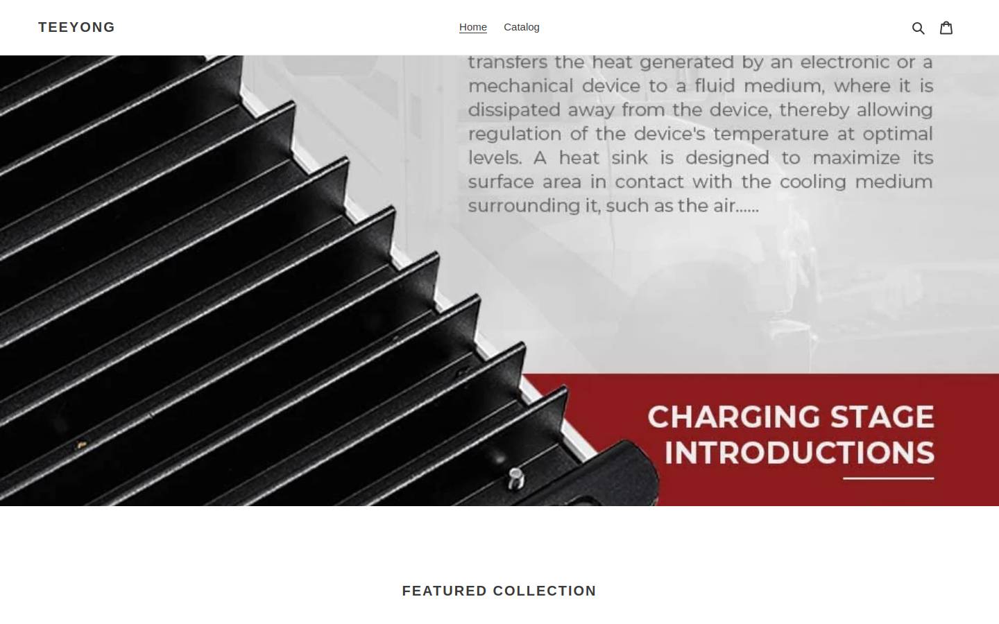 teeyong.com homepage screenshot
