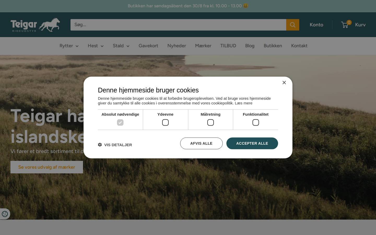 Teigar homepage screenshot