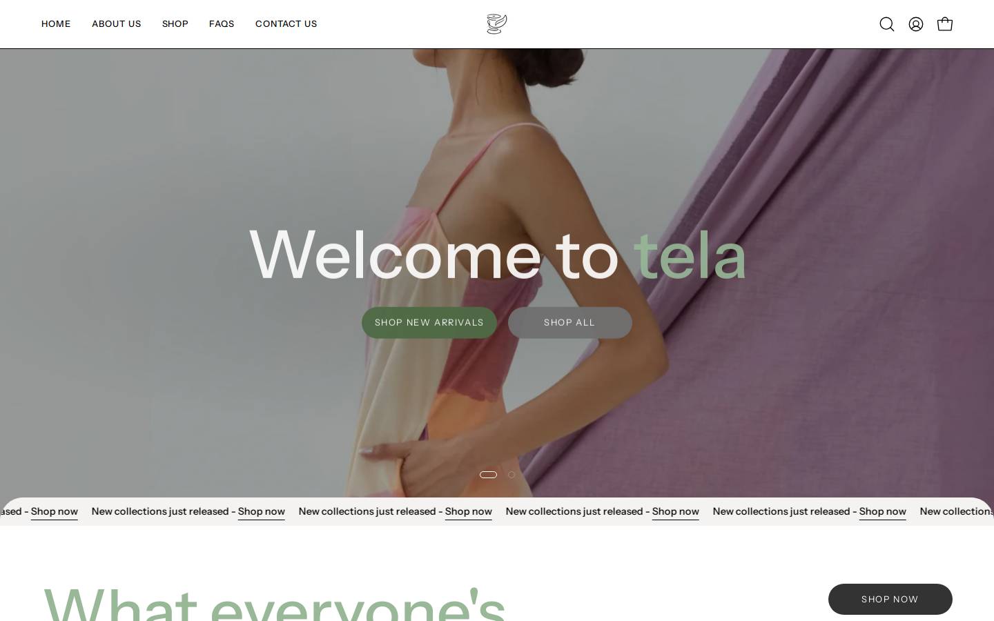 telamnl.com homepage screenshot