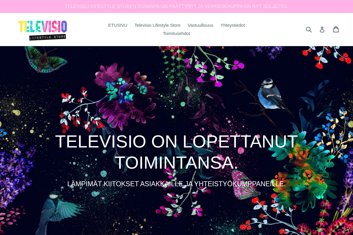 televisioon.fi homepage screenshot