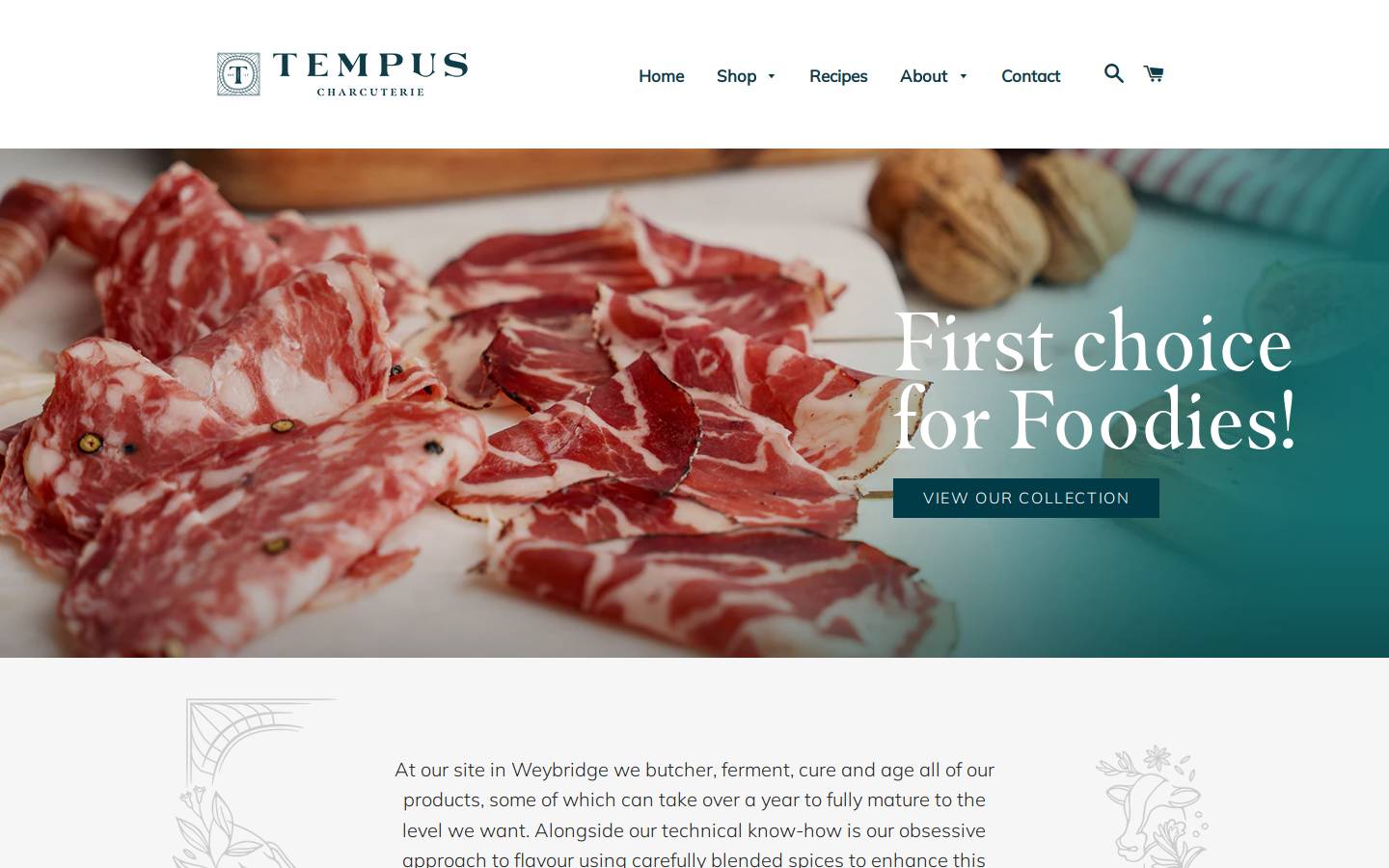 tempusfoods.com homepage screenshot